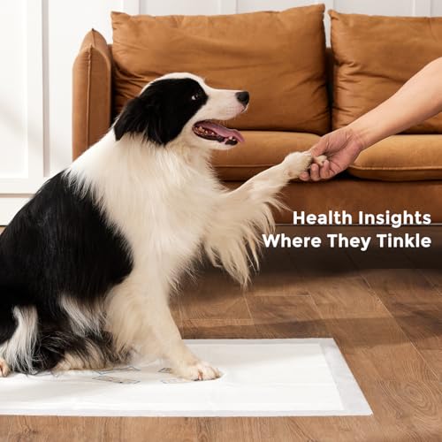 Save 10% on ZOMISIA Health Monitoring Puppy Pee Pads - Image 4