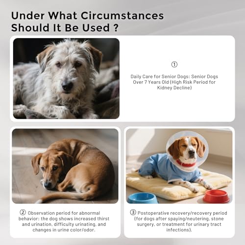 Save 10% on ZOMISIA Health Monitoring Puppy Pee Pads - Image 6
