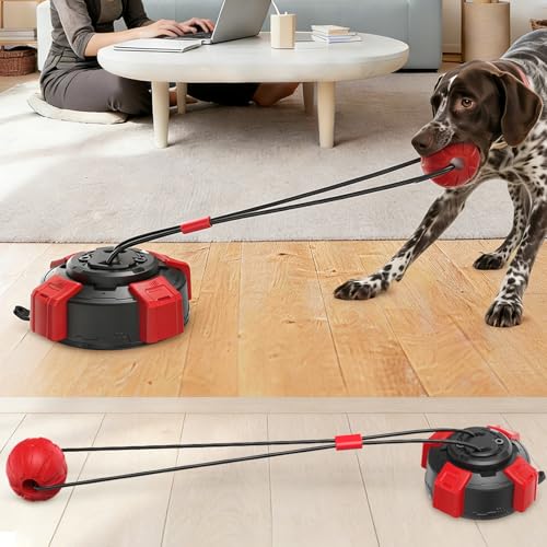 Save 50% on Virgooer Interactive Dog Tug Toy for Chewers