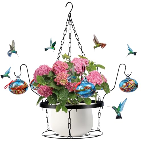 50% Off Hand-Blown Glass Hummingbird Feeder with Planter