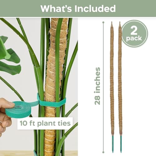 38% Off 2-Pack Bendable Moss Poles for Climbing Houseplants - Image 2