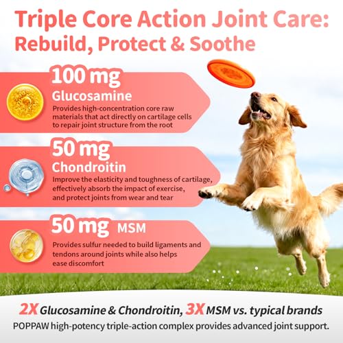 POPPAW Dog Joint Supplement Drops - 10-in-1 Formula - Image 2