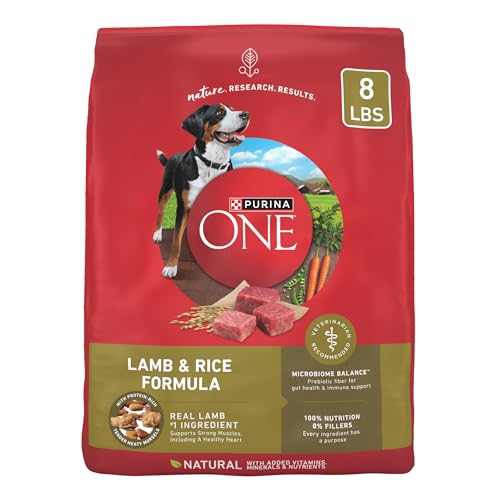 Save 9% on Purina ONE Lamb & Rice Dry Dog Food