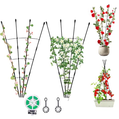 40% Off Garden Trellis for Climbing Plants - 2 Pack