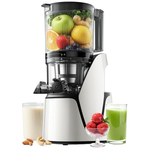 Save 32% on EanOruus 3-in-1 Cold Press Juicer with Code