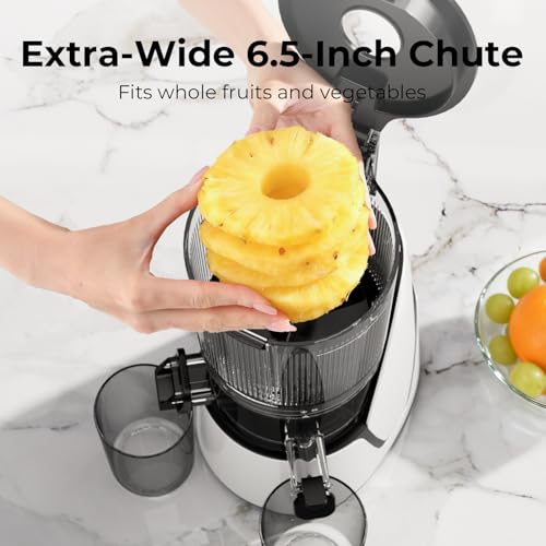 Save 32% on EanOruus 3-in-1 Cold Press Juicer with Code - Image 4