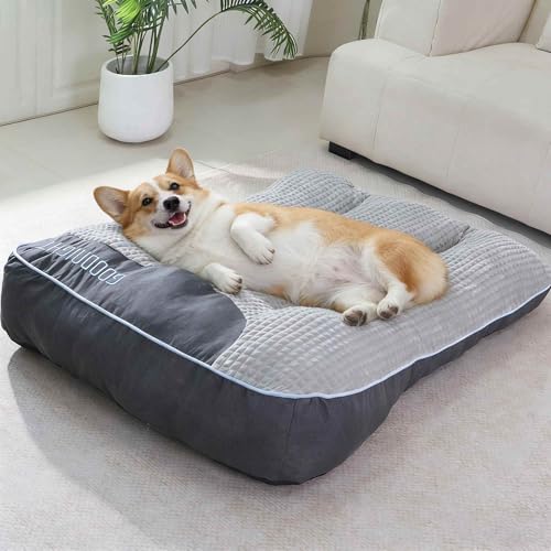 50% Off Orthopedic Dog Bed for Medium Dogs with Code