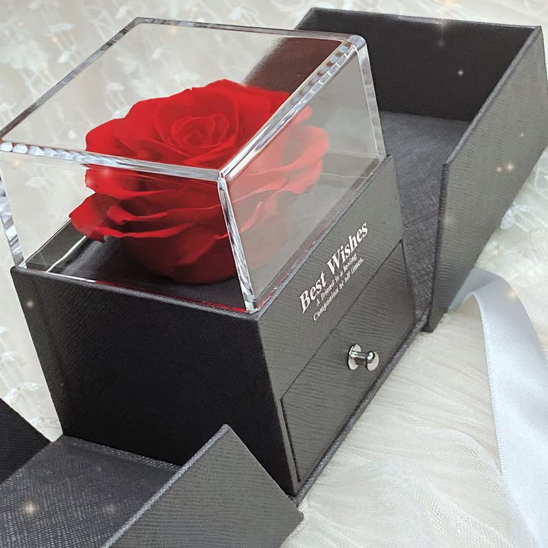 Preserved Rose Gift Box with Necklace - Under $10 - Image 3