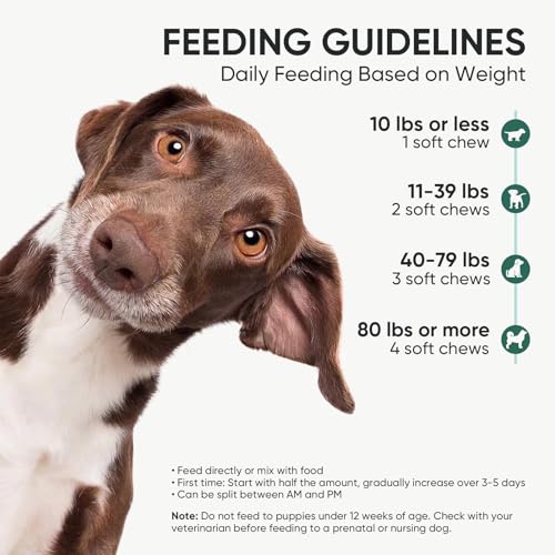 Save 23% on Probiotic Chews for Dog Digestive Health - Image 5