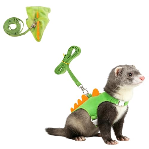 50% Off Dinosaur Ferret Harness & Leash Set for Small Pets