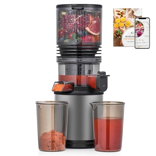 55% Off AMZCHEF Cold Press Juicer with Wide Chute