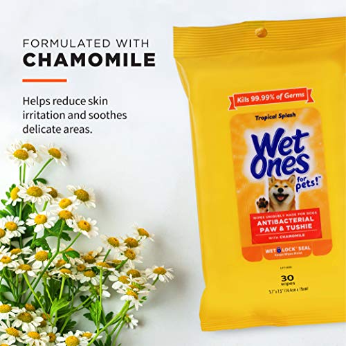 5% Off Wet Ones Dog Wipes - Paws & Tushie Clean - Image 3