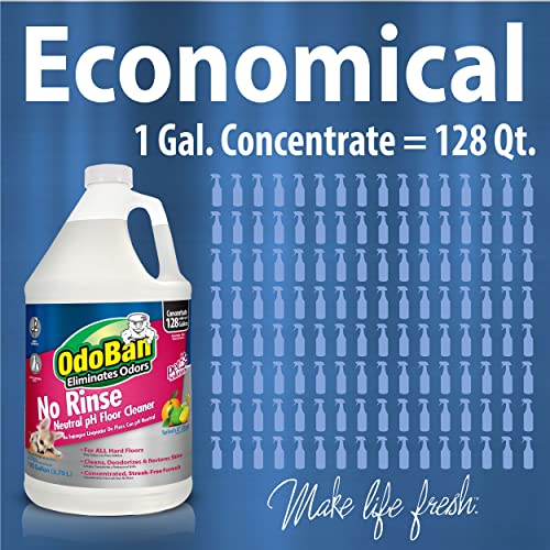 Save 46% on OdoBan Pet Stain & Floor Cleaner Kit - Image 5