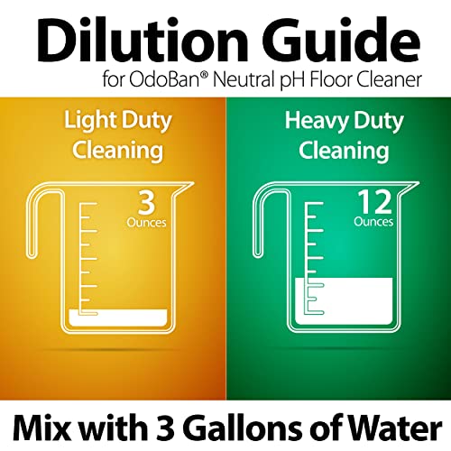 Save 46% on OdoBan Pet Stain & Floor Cleaner Kit - Image 7
