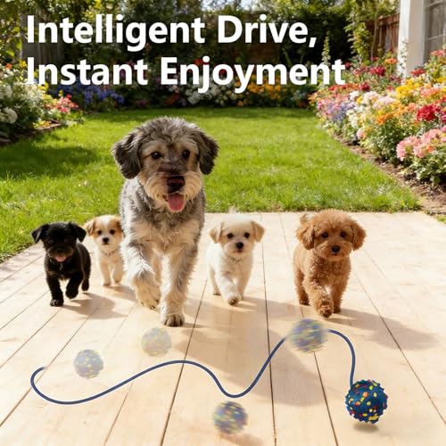 Smart Interactive Dog Ball with 60% Off Coupon - Image 4