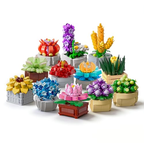 50% Off Chodia Succulent Building Block Set - Code RMVCMEOX