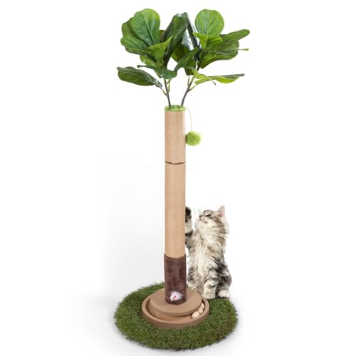 50% Off Cat Scratching Post with Interactive Toy
