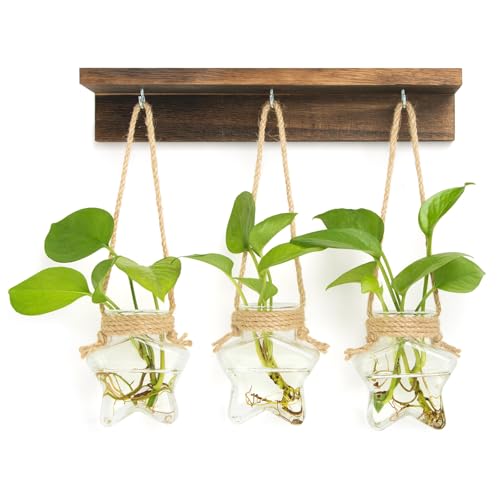 55% Off XXXFLOWER Star-Shaped Wall Propagation Station