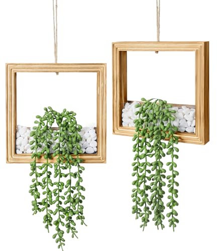 2-Pack Hanging Artificial Succulents with LED Lights - 44% Off