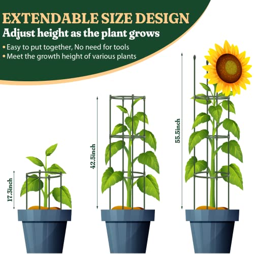 50% Off LOMNYIY Heavy Duty Tomato Cage - Image 3