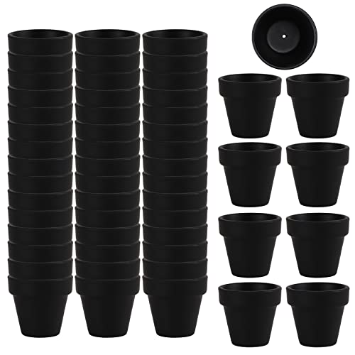 50% Off: 54-Pack Mini Black Clay Pots for Succulents