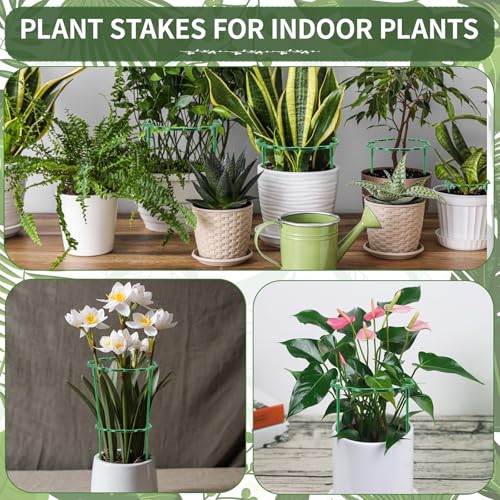 24 Pack Plant Support Stakes with Stackable Design - Image 7