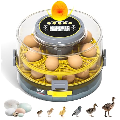 34% Off 20-Egg Incubator with Auto Turner & LED Candler