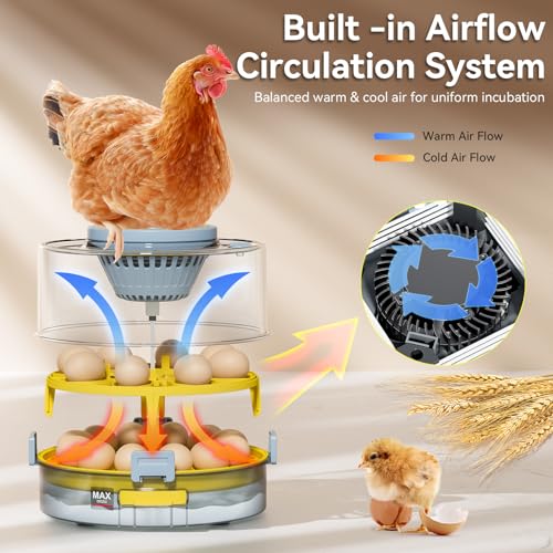 34% Off 20-Egg Incubator with Auto Turner & LED Candler - Image 4