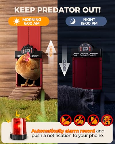 50% Off WiFi Solar Chicken Coop Door with 2K Camera - Image 7