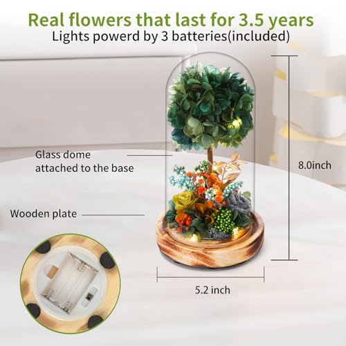 50% Off Preserved Hydrangea Floral Arrangement with LED - Image 4