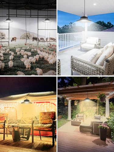 30% Off: T-SUN Solar Shed Lights with Remote - Image 7