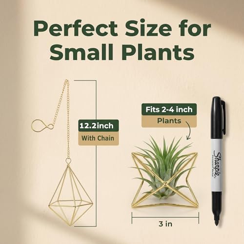 50% Off Air Plant Hangers Set – Boho Home Decor - Image 3