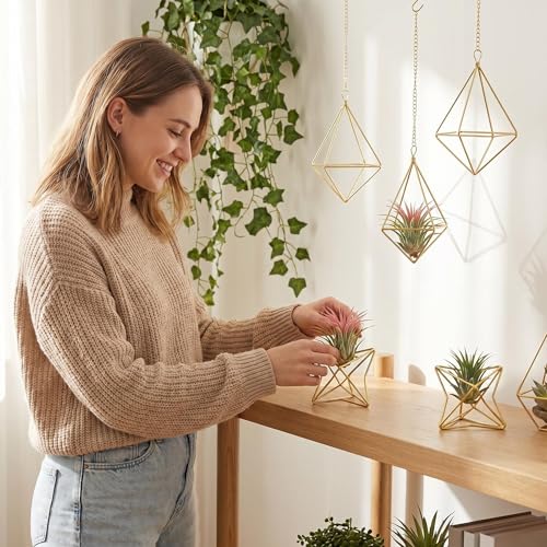 50% Off Air Plant Hangers Set – Boho Home Decor - Image 4