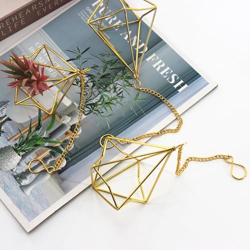 50% Off Air Plant Hangers Set – Boho Home Decor - Image 5