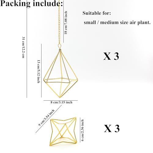 50% Off Air Plant Hangers Set – Boho Home Decor - Image 7