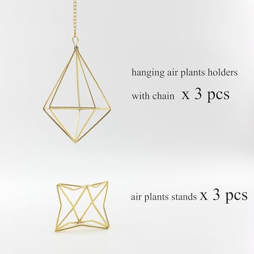 50% Off Air Plant Hangers Set – Boho Home Decor - Image 8