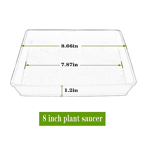 50% Off LWALRS 5-Pack Square Plant Saucers for Indoors & Outdoors - Image 3