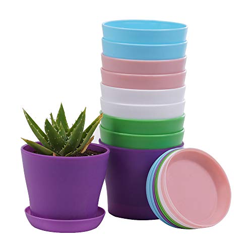 38% Off TDHDIKE 10-Pack Mini Plastic Planters with Trays - Image 2