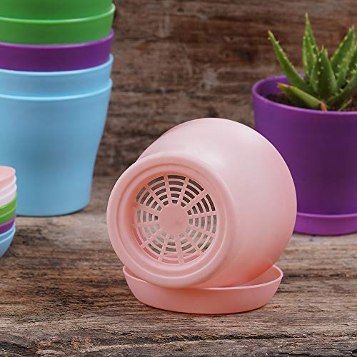 38% Off TDHDIKE 10-Pack Mini Plastic Planters with Trays - Image 3