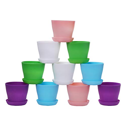 38% Off TDHDIKE 10-Pack Mini Plastic Planters with Trays - Image 6
