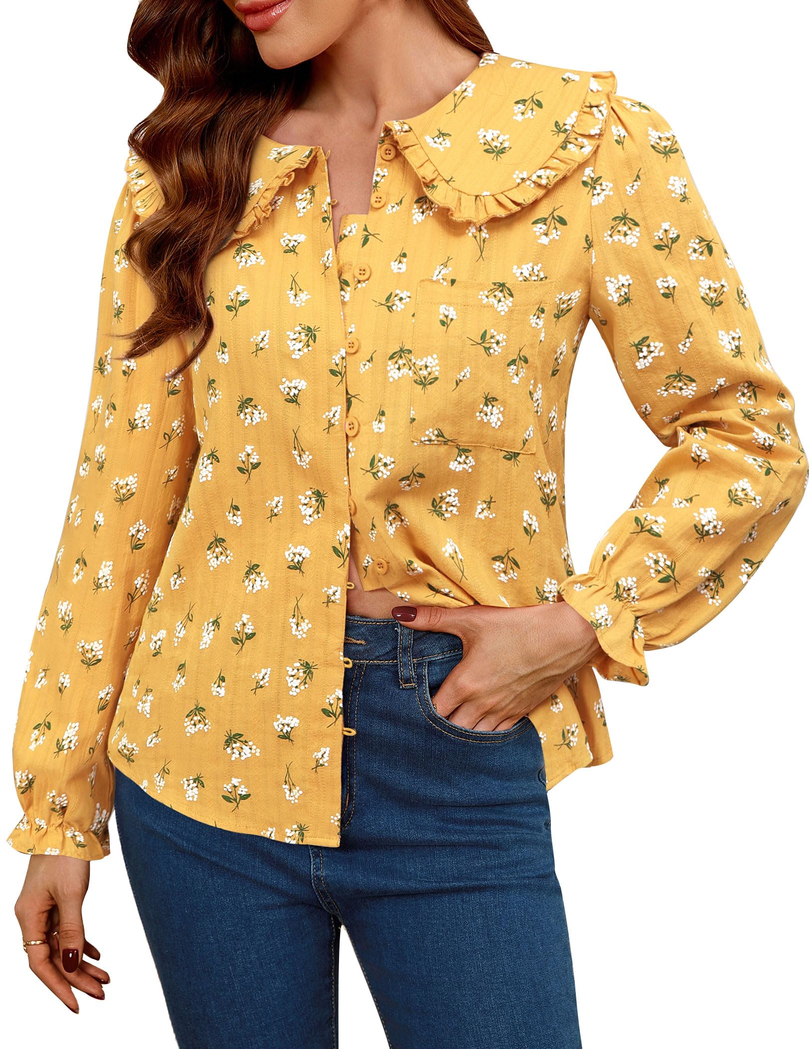 Save $15 on a LOOKBOHO Peter Pan Collar Blouse for Women - Image 1