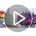 Get 50% Off Elyum Artificial Outdoor Flowers with Code LJLSLODV - Image 8