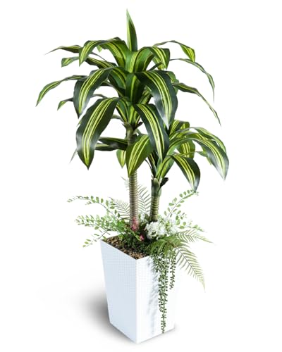 Save 50% on 4ft Artificial Dracaena Tree with White Pot - Image 2
