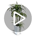 Save 50% on 4ft Artificial Dracaena Tree with White Pot - Image 8