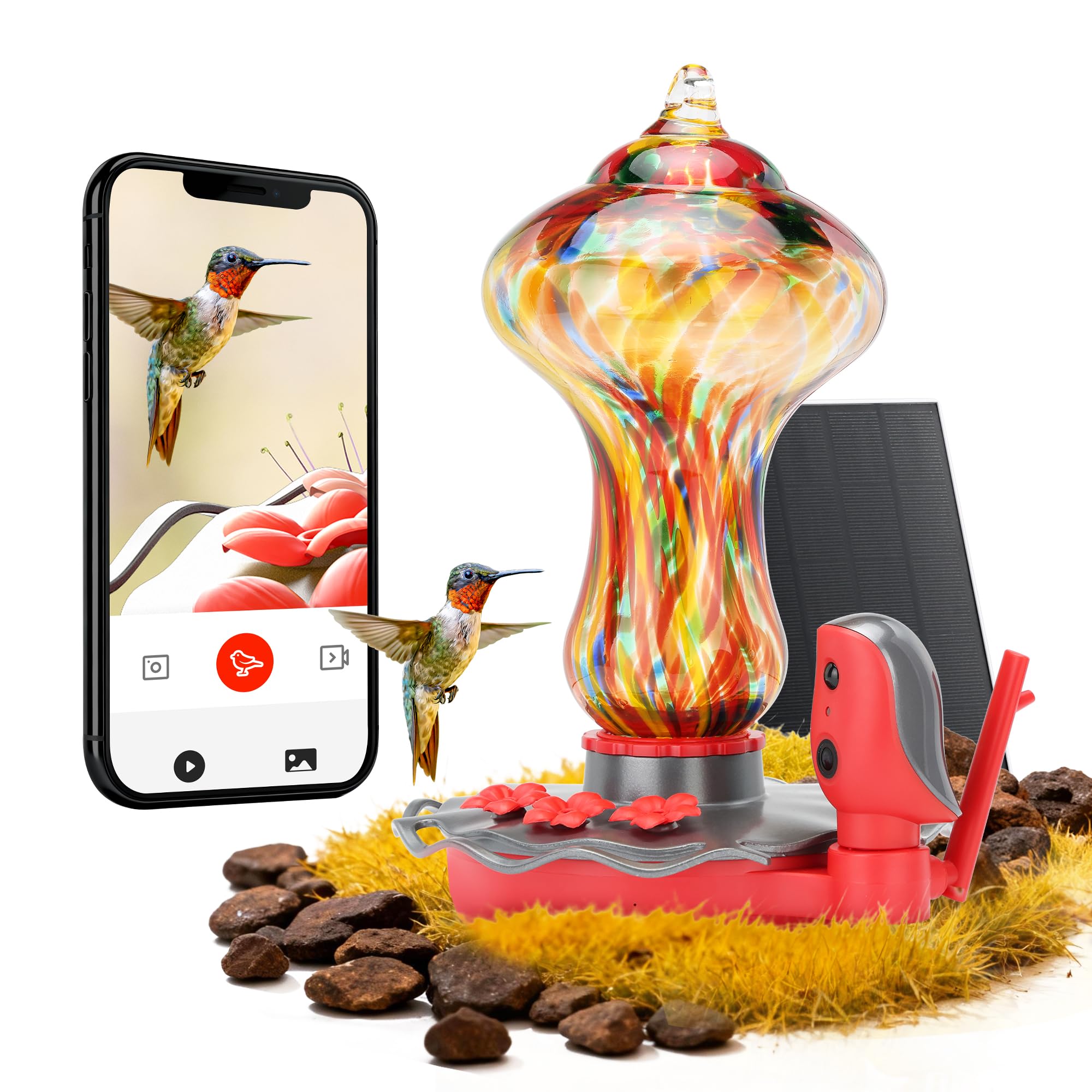 50% Off TT Nature Smart Hummingbird Feeder with Camera