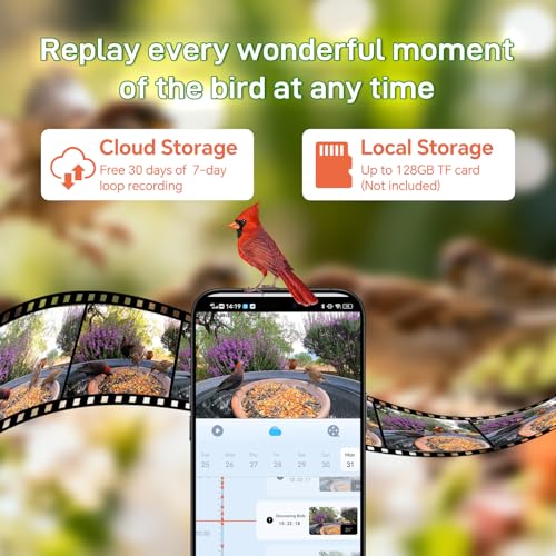 40% Off Smart Bird Feeder with Camera Solar Powered - Image 7