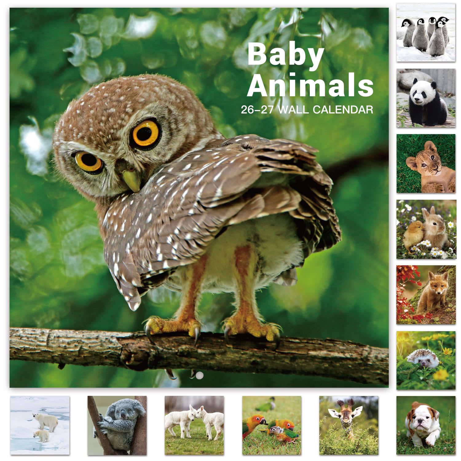 Save on 2026-2027 Baby Animals Wall Calendar - Image 1