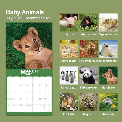 Save on 2026-2027 Baby Animals Wall Calendar - Image 3