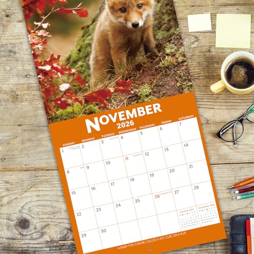 Save on 2026-2027 Baby Animals Wall Calendar - Image 4
