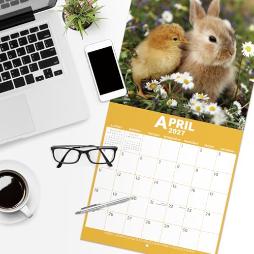 Save on 2026-2027 Baby Animals Wall Calendar - Image 5